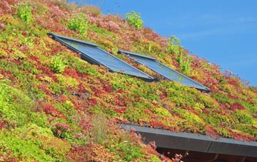 Lewisham living roof systems
